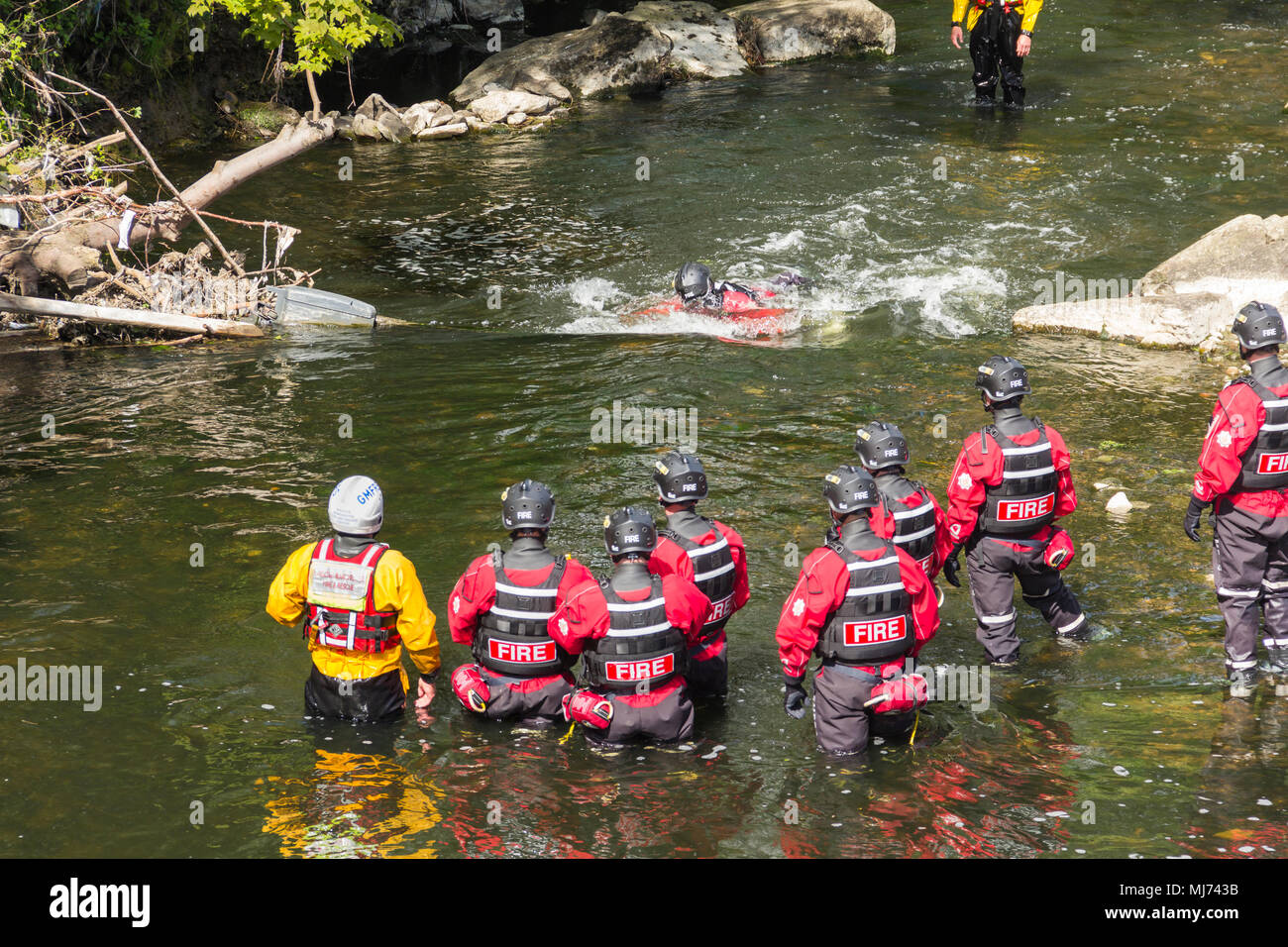 Members of Greater Manchester Fire and Rescue Service undertaking water rescue training in the River Irwell near Burrs Activity Centre, Bury Stock Photo