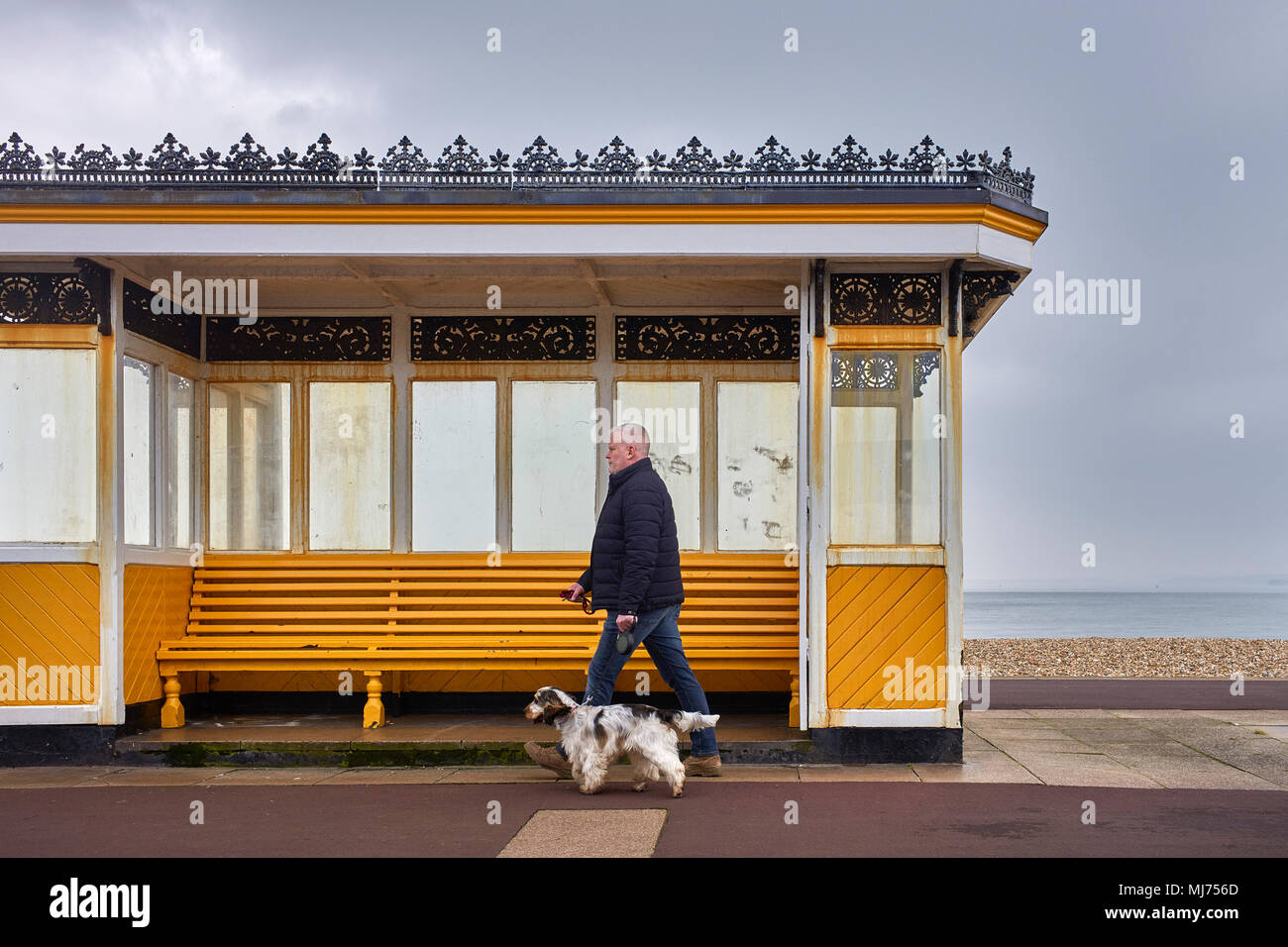 man-walking-his-dog-past-a-victorian-seaside-shelter-at-southsea-portsmouth-MJ756D.jpg