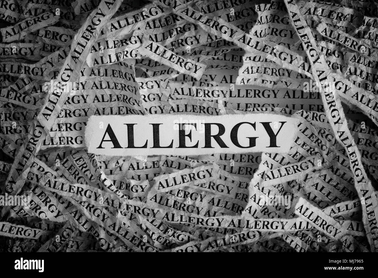Allergy. Torn pieces of paper with the words Allergy. Concept Image. Black and White. Closeup. Stock Photo