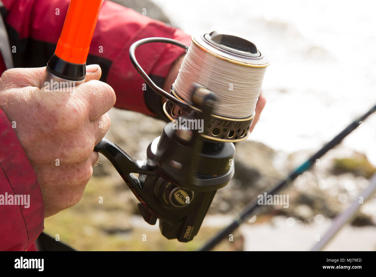 A sea angler reeling in with a fixed spool reel that has been loaded with  braided fishing line while shore fishing. Braided fishing lines have  virtual Stock Photo - Alamy