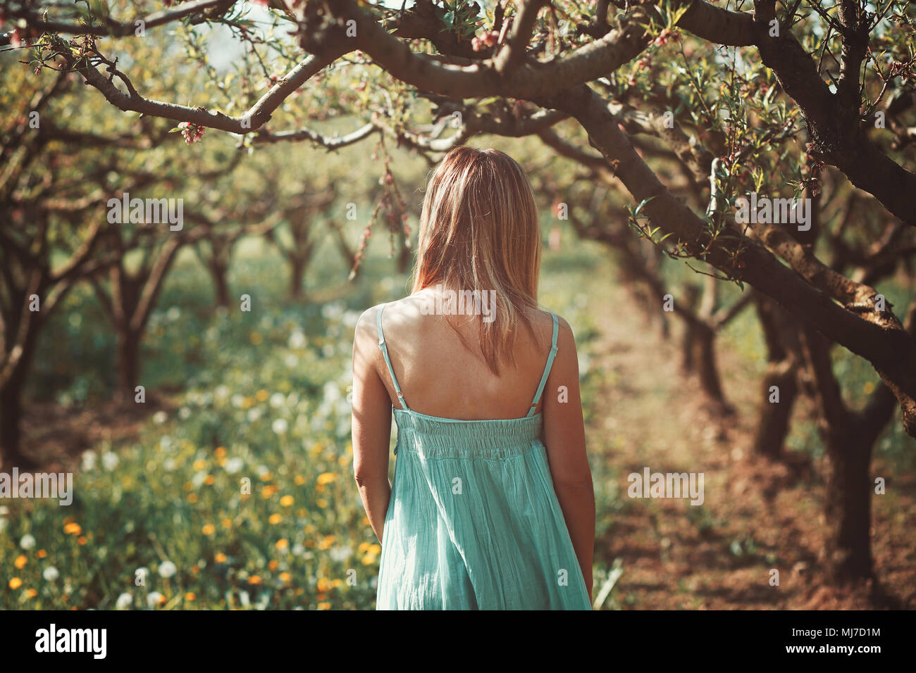 Woman alone in a orchard. Peace and serenity Stock Photo