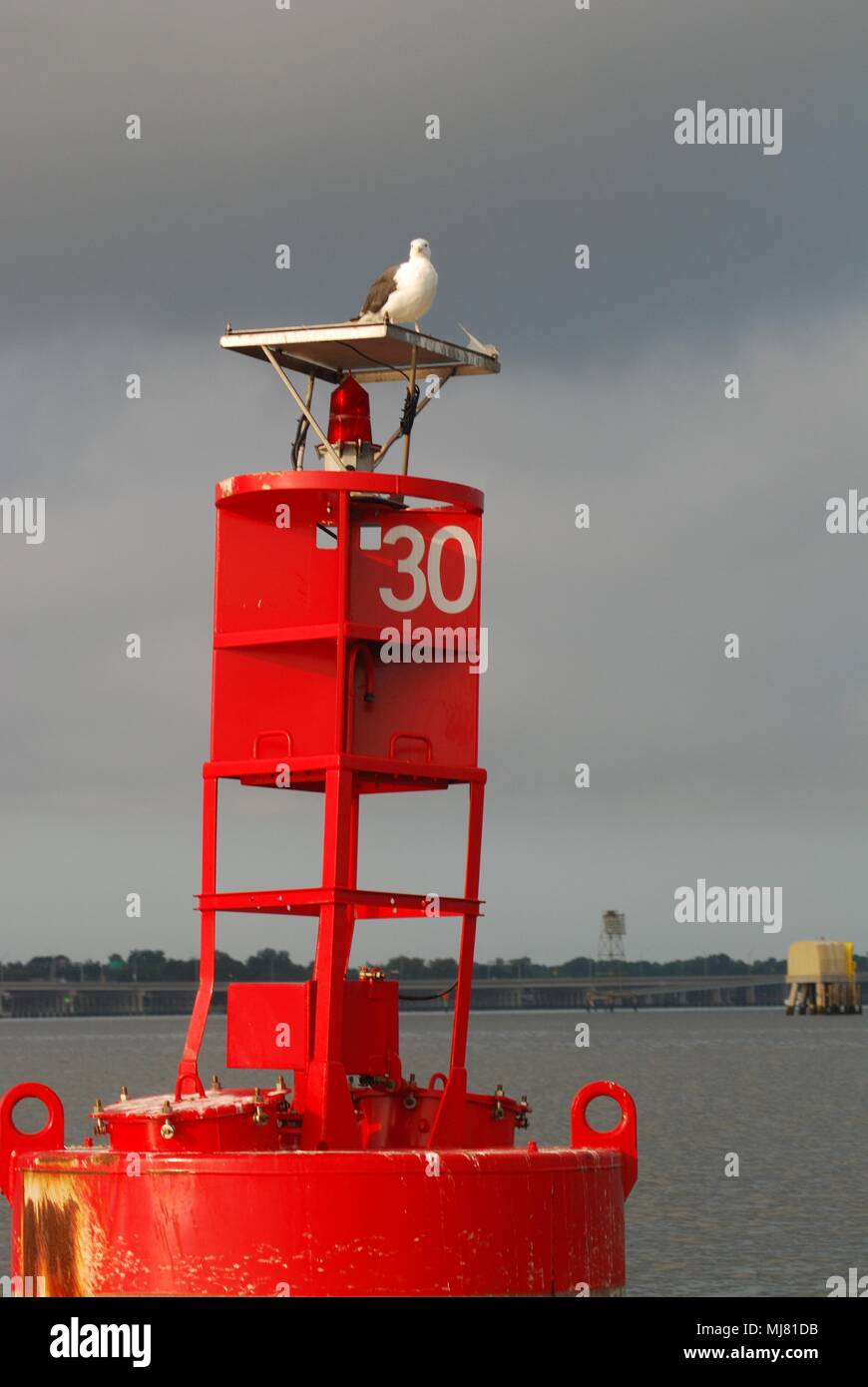Seagull on a channel marker in the Elizabeth River, Hampton Roads, Norfolk, Virginia USA Stock Photo