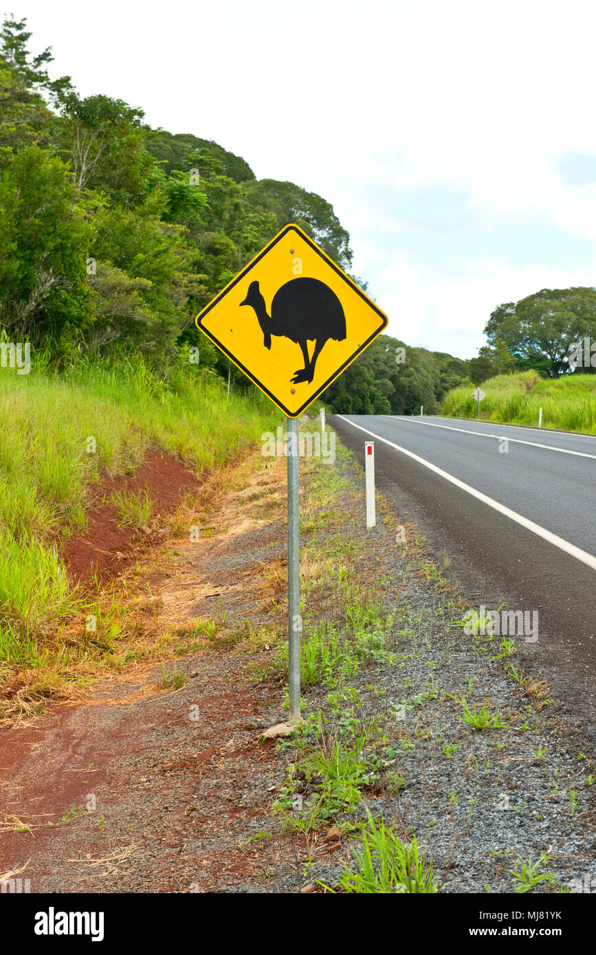 Cassowary warning road signs Stock Photo