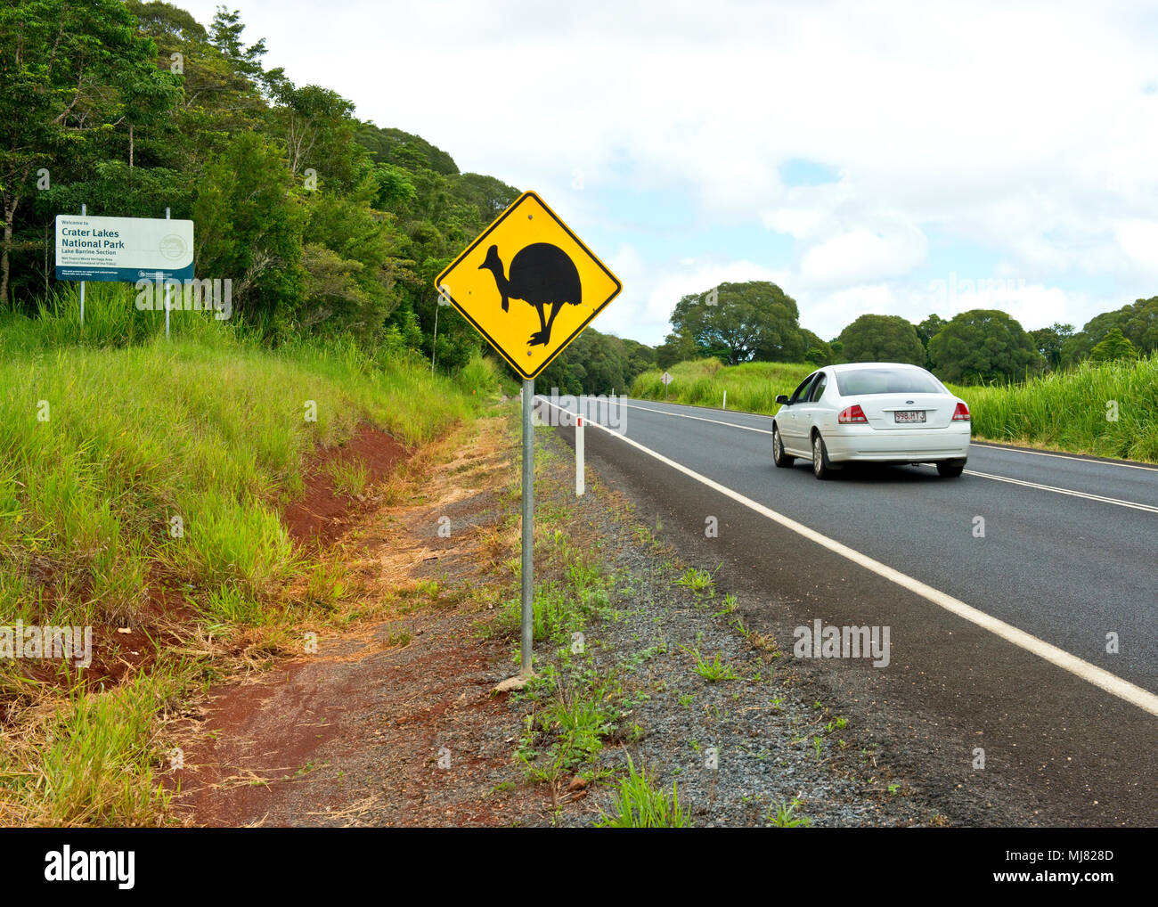 Cassowary warning road signs Stock Photo