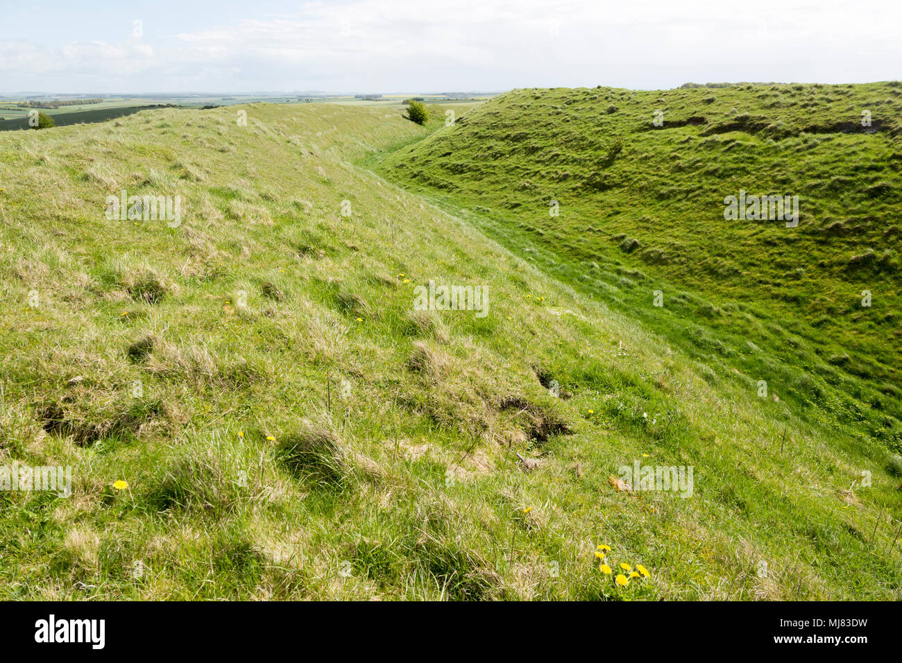 Defensive ramparts and ditch Yarnbury Castle, Iron Age hill fort ...