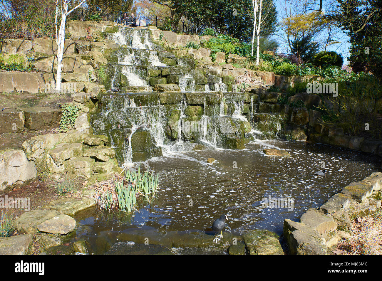 Regent's park waterfall Stock Photo - Alamy