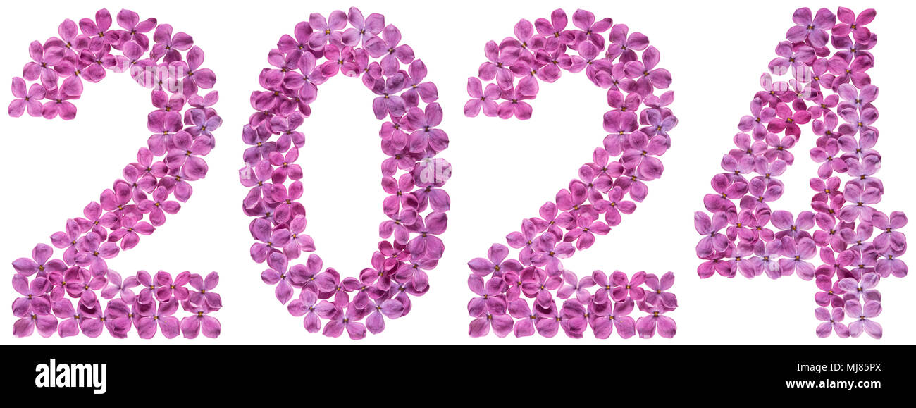 Numeral 2024 from flowers of lilac, isolated on white background Stock