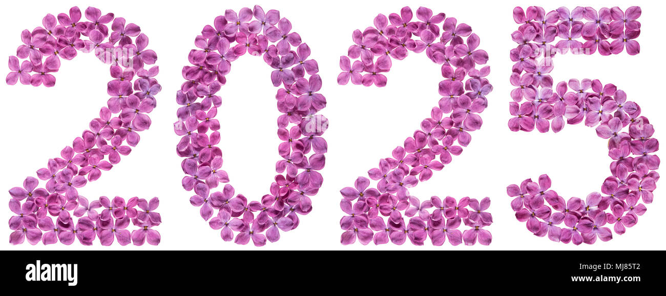 Numeral 2025 from flowers of lilac, isolated on white background Stock Photo Alamy