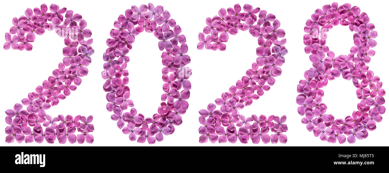 Numeral 2028 from flowers of lilac, isolated on white background Stock Photo