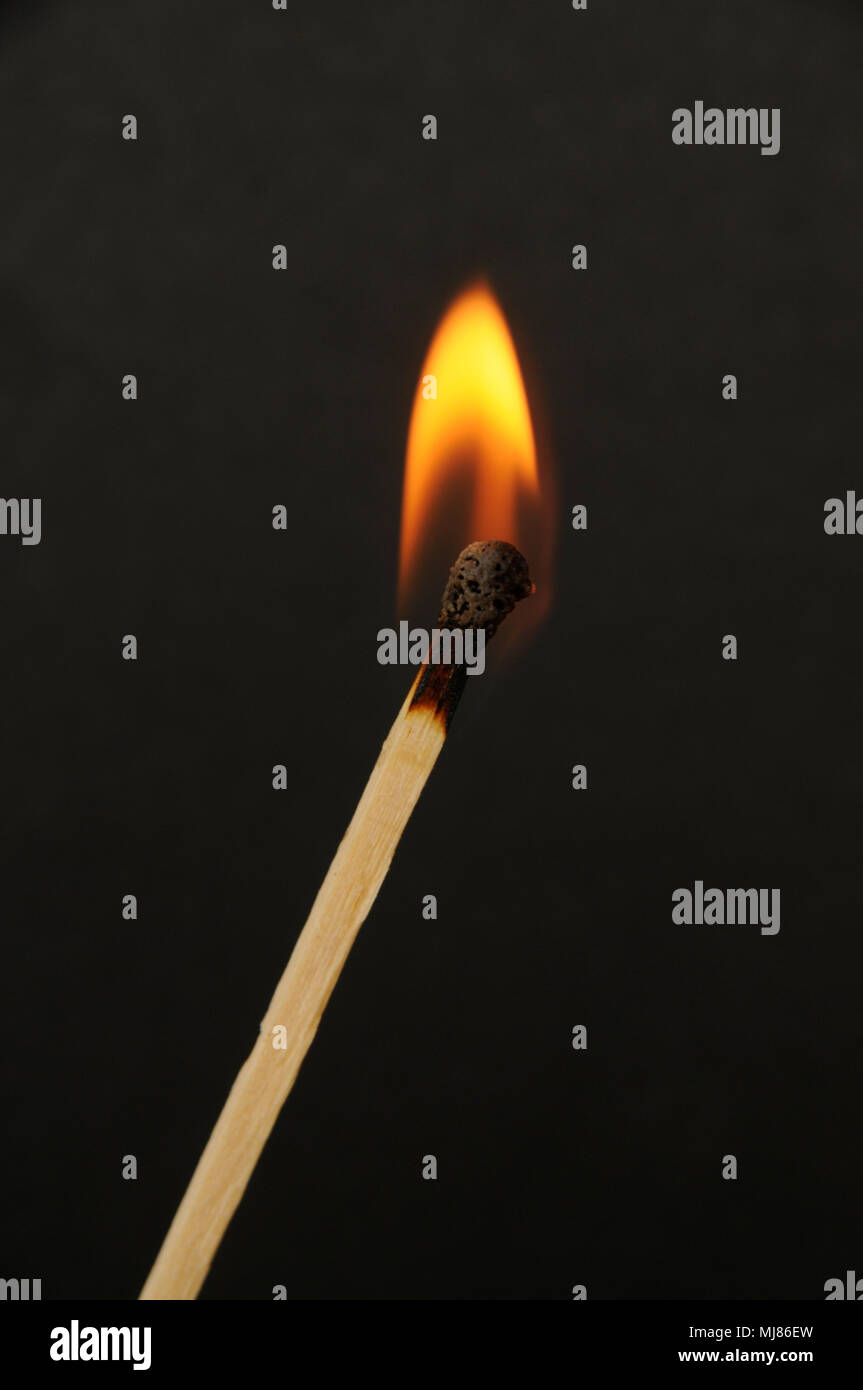 Fire burning single match on a black background Stock Photo