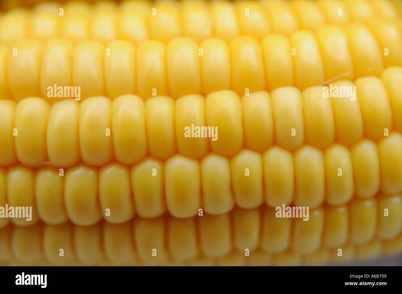 Closeup sweetcorn hi-res stock photography and images - Alamy