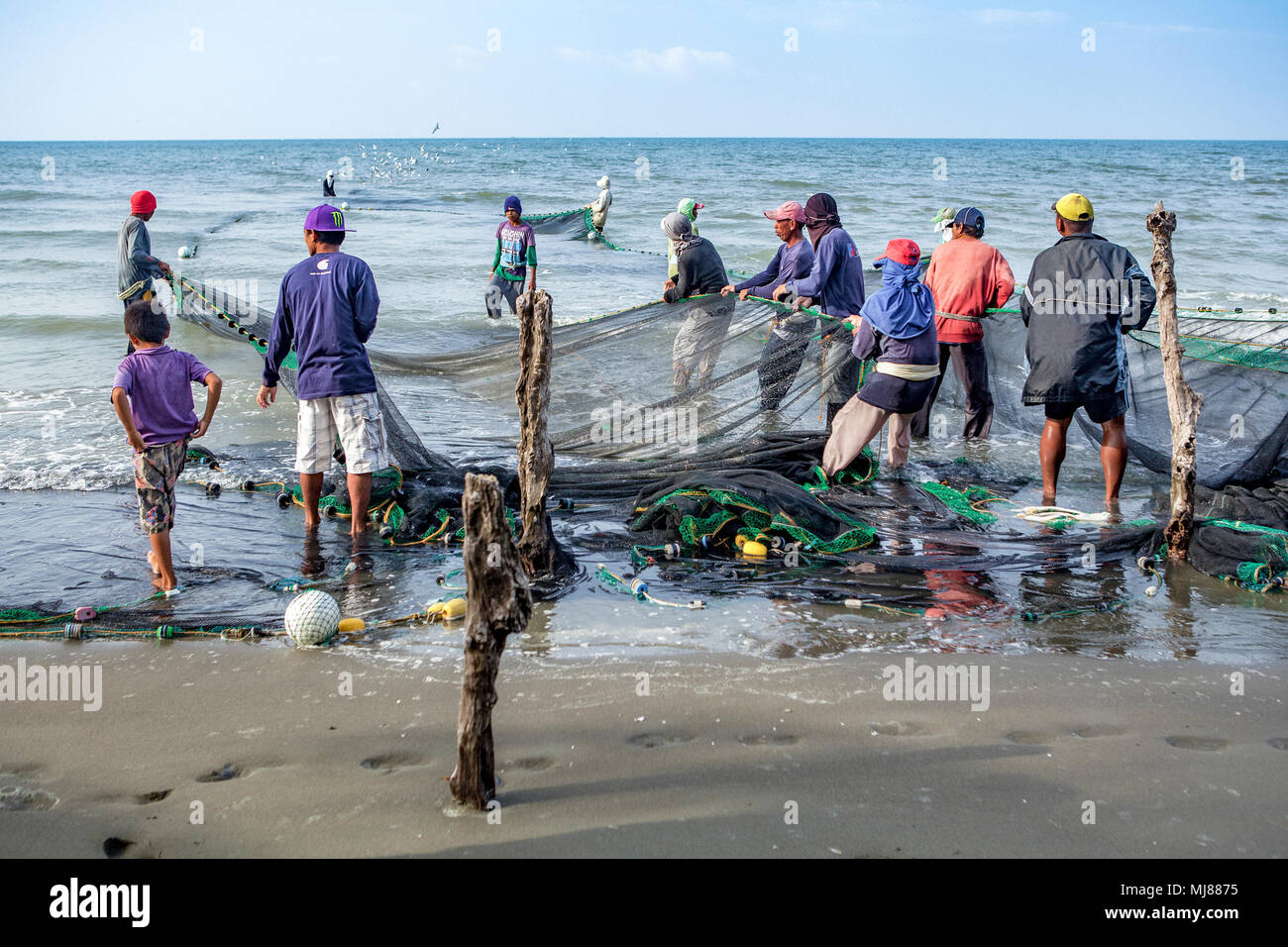 Members of a fishing cooperative from the local village at Baybay Beach haul in their seine net. They fish twice a day to provide food and income for  Stock Photo