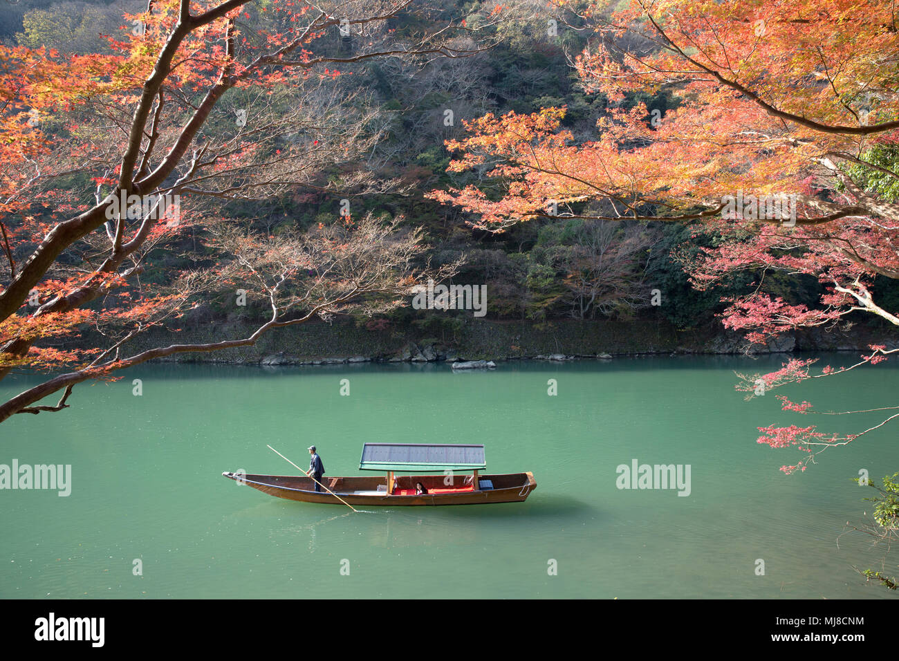 High angle view of man standing on traditional punt on a river in autumn. Stock Photo