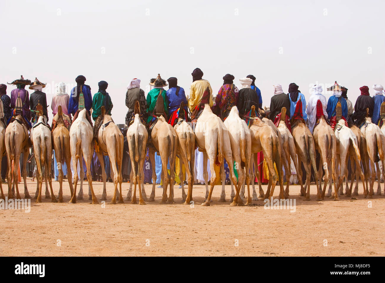 Rear view of large group of men riding on camels in the desert Stock ...