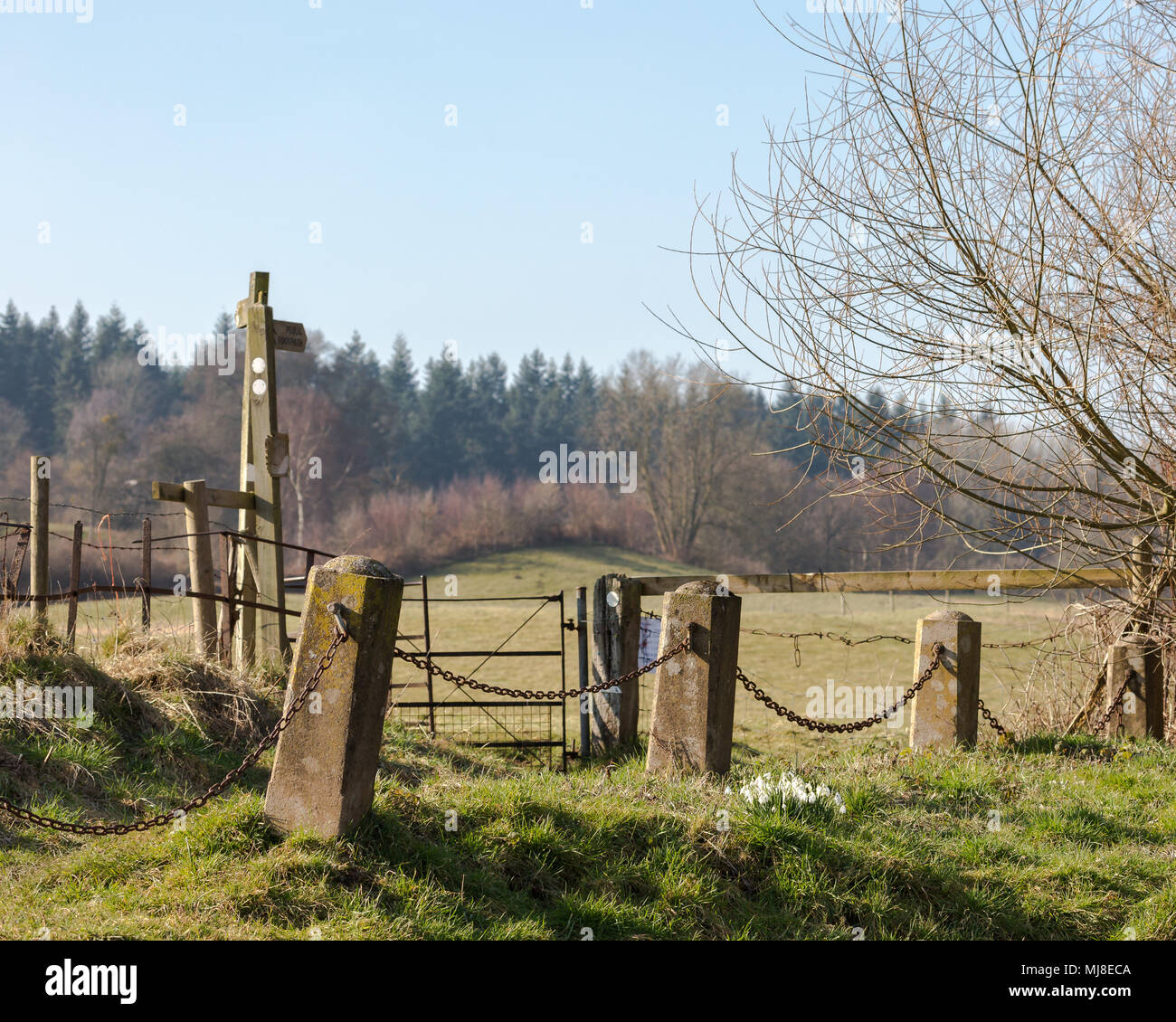 A springtime walk in the countryside. A signpost indicates taking public footpath, right of way, through field in the background. Snowdrops on ground. Stock Photo