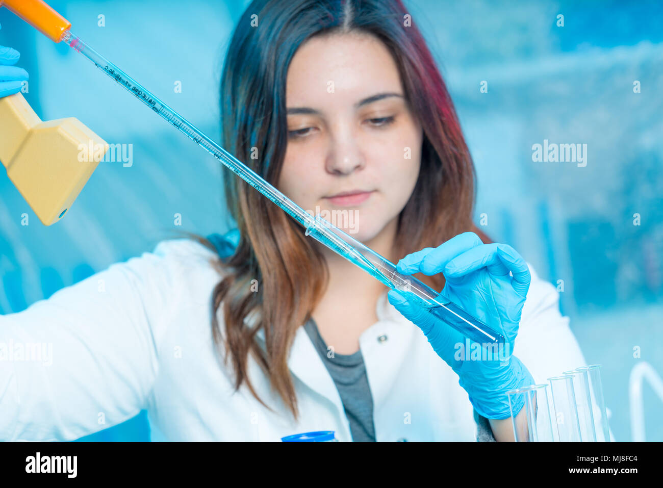 female technician in medical laboratory, hospital Petri dish test Stock