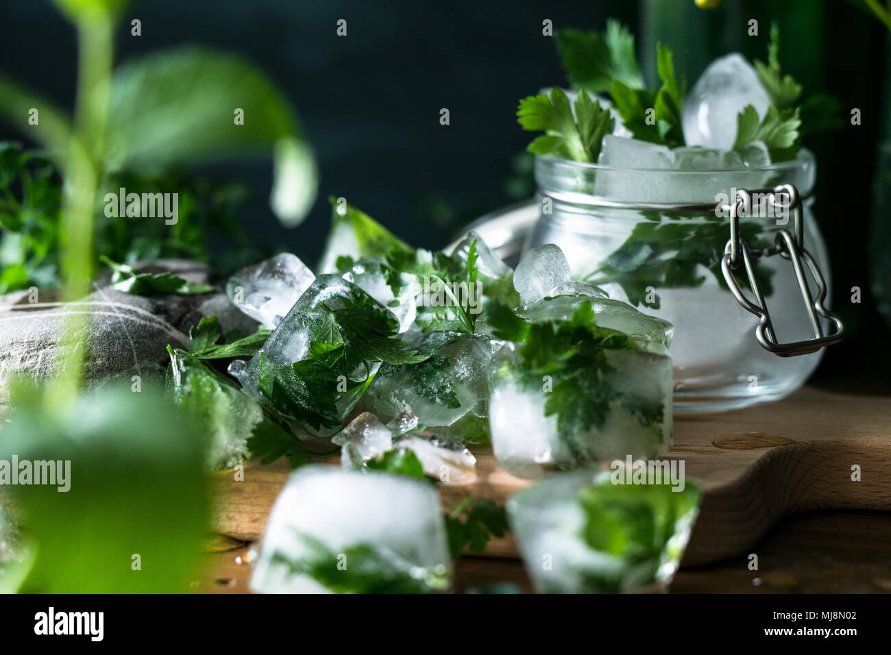 Ice cubes with frozen herbs for fruit infused water on rustic wooden