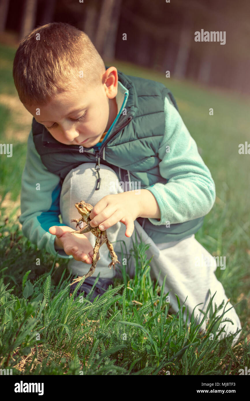 caucasian child play with frog on green lawn Stock Photo