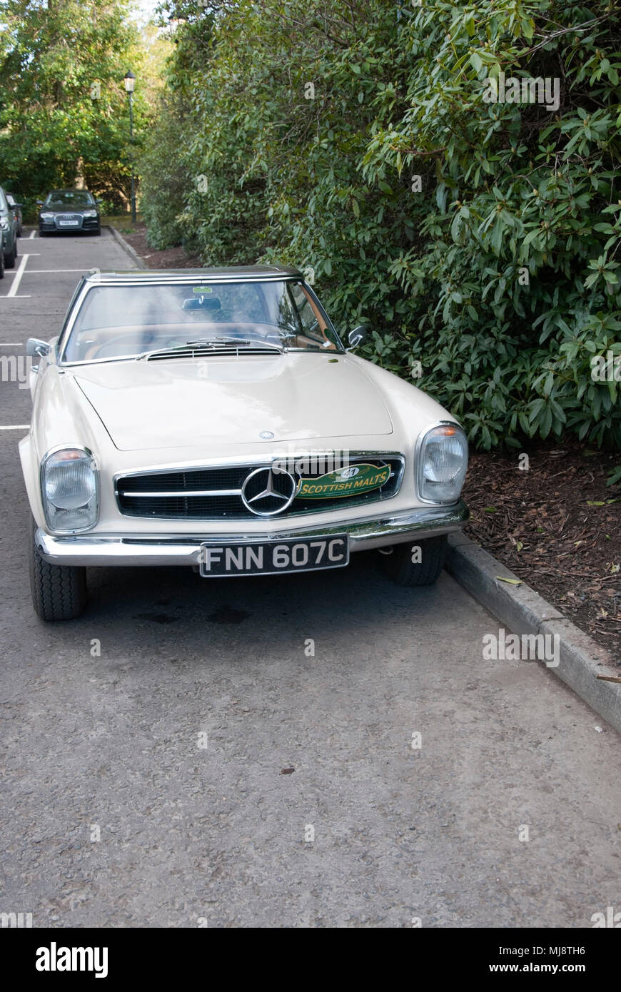 1965 Beige Mercedes Benz 230SL Pagoda Top Roadster Classic Sports Car front  view of 1965 beige mercedes benz 230SL pagoda top classic vintage veteran  Stock Photo - Alamy