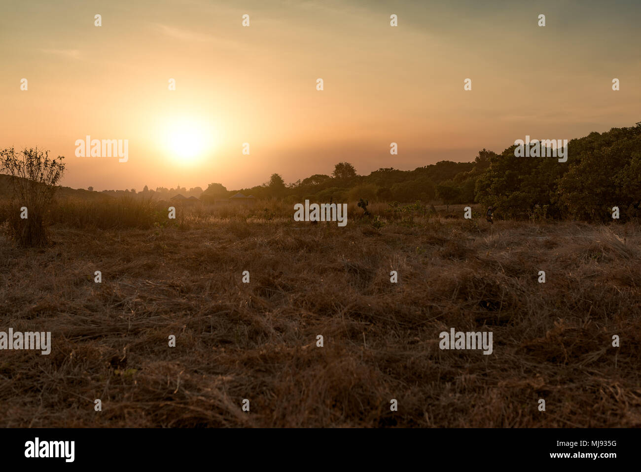Sunset  with beautiful meadow in the background in Banlung province, Cambodia. Stock Photo
