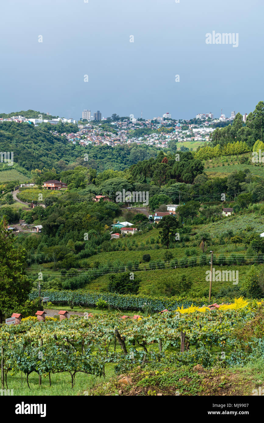 The wine valley 'Vale dos Vinhedos' with the town of Bento Goncalves, Rio Grande do Sul, Brazil, Latin America Stock Photo