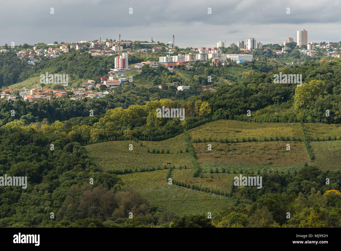 The wine valley 'Vale dos Vinhedos' with the town of Bento Goncalves, Rio Grande do Sul, Brazil, Latin America Stock Photo