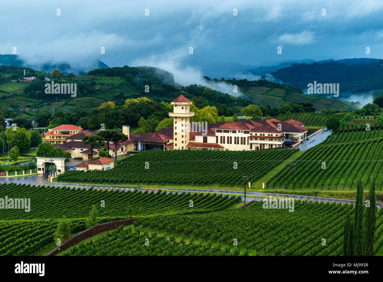 Winery 'Miolo' sourrounded by vinyards, Vale dos Vinhedos, Rio Grande do Sul, Brazil, Latin America Stock Photo