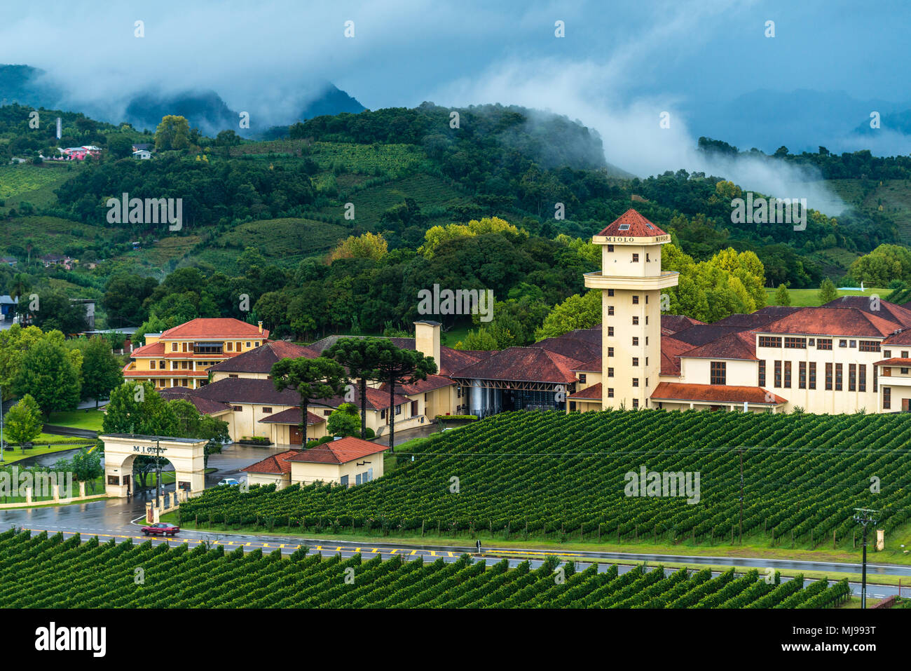 Winery 'Miolo' sourrounded by vinyards, Vale dos Vinhedos, Rio Grande do Sul, Brazil, Latin America Stock Photo