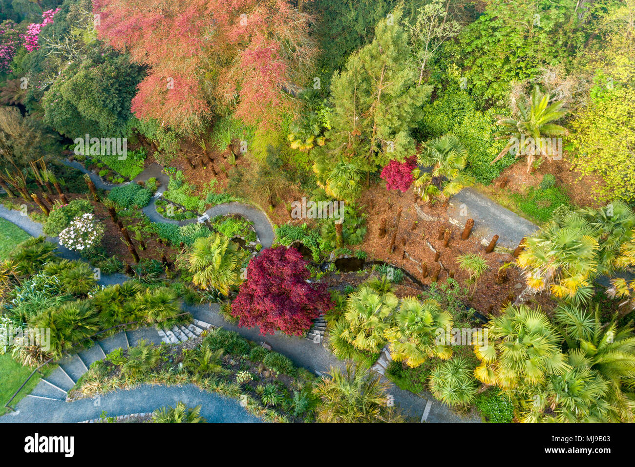 Trebah Garden from the Air Stock Photo