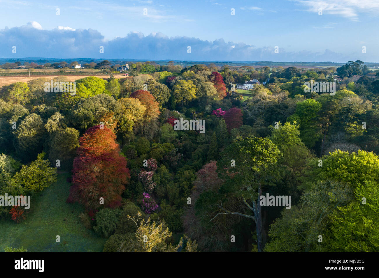 Trebah Garden from the Air; Cornwall; UK Stock Photo