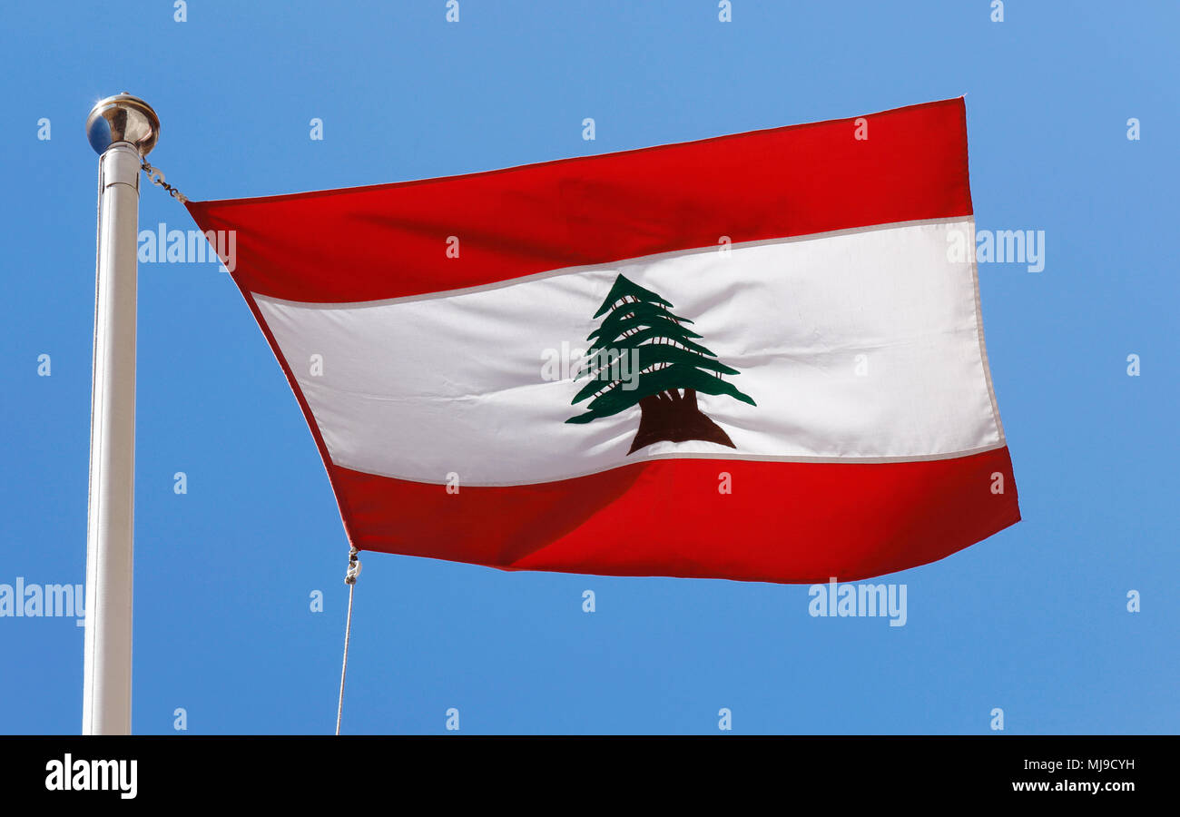 The national flag of Lebanon isolated on blue Stock Photo Alamy