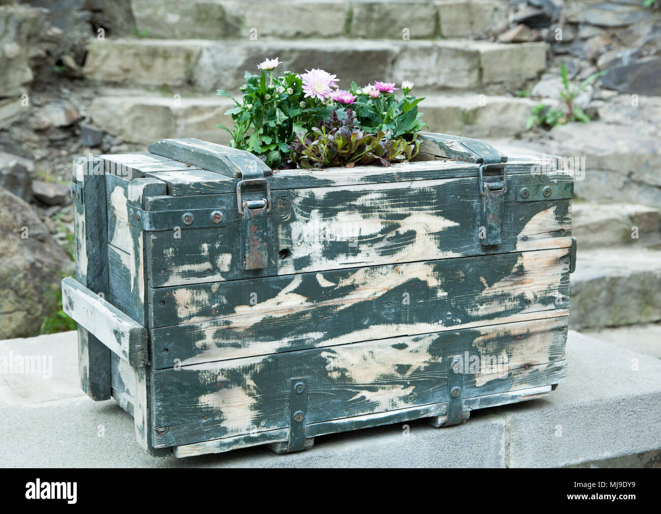 The Military Bullet Box Is Used To Grow Flowers In Tbilisi Old