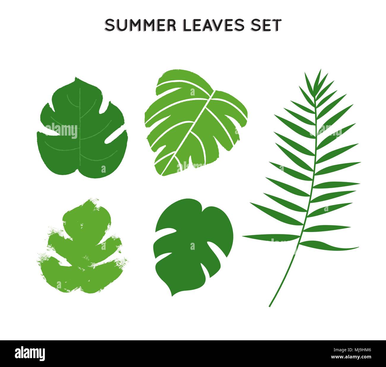 Tropical summer leaves set, hand drawn green palm tree leaf collection on isolated background. EPS10 vector. Stock Vector