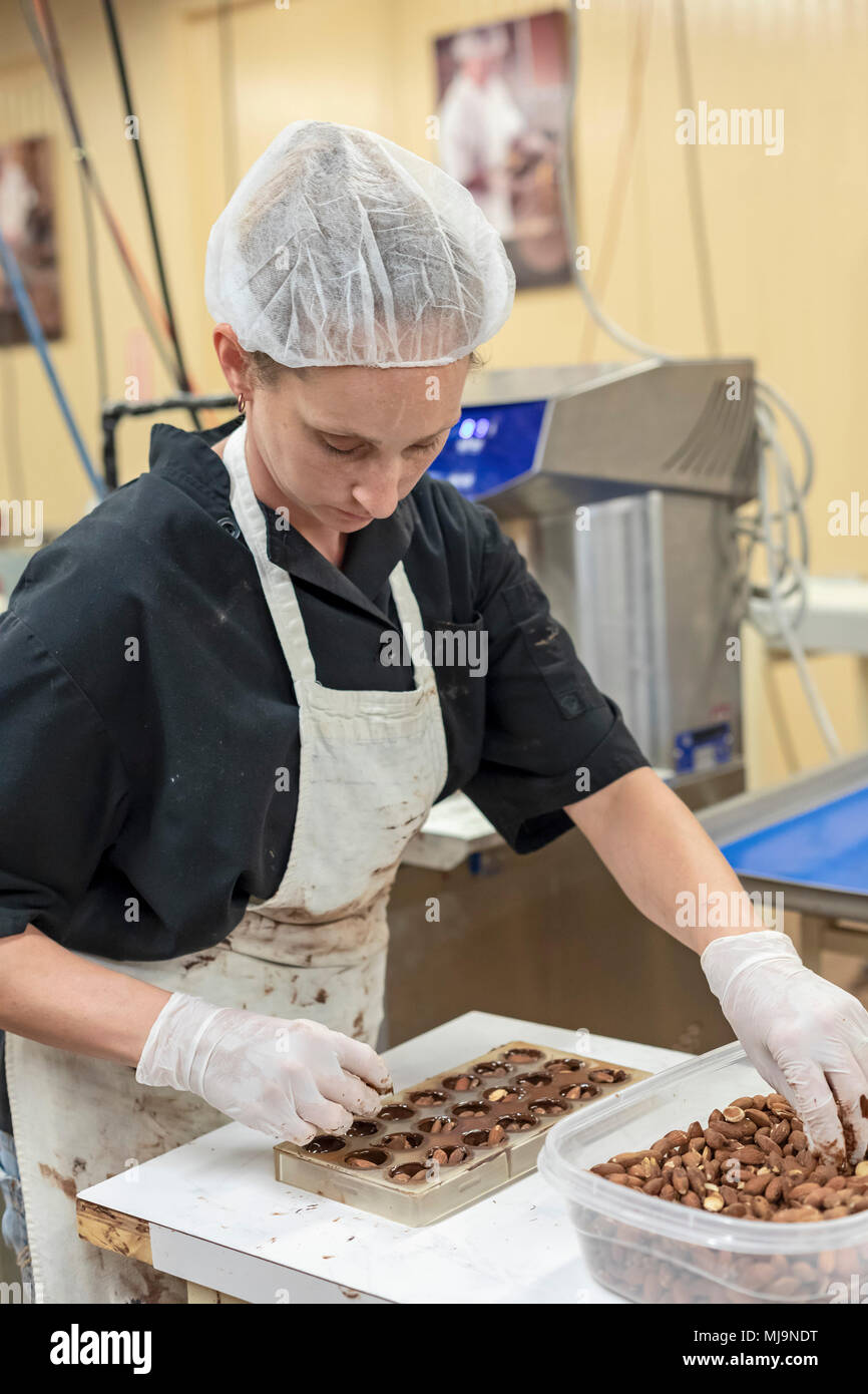 St. Augustine, Florida - A worker places nuts in chocolates at the Whetstone Chocolates factory. The company makes and sells artisan chocolates in St. Stock Photo