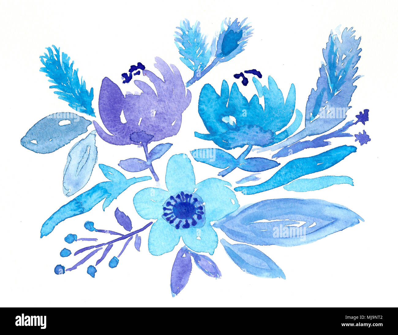 Blue Watercolour Flower High Resolution Stock Photography And Images Alamy