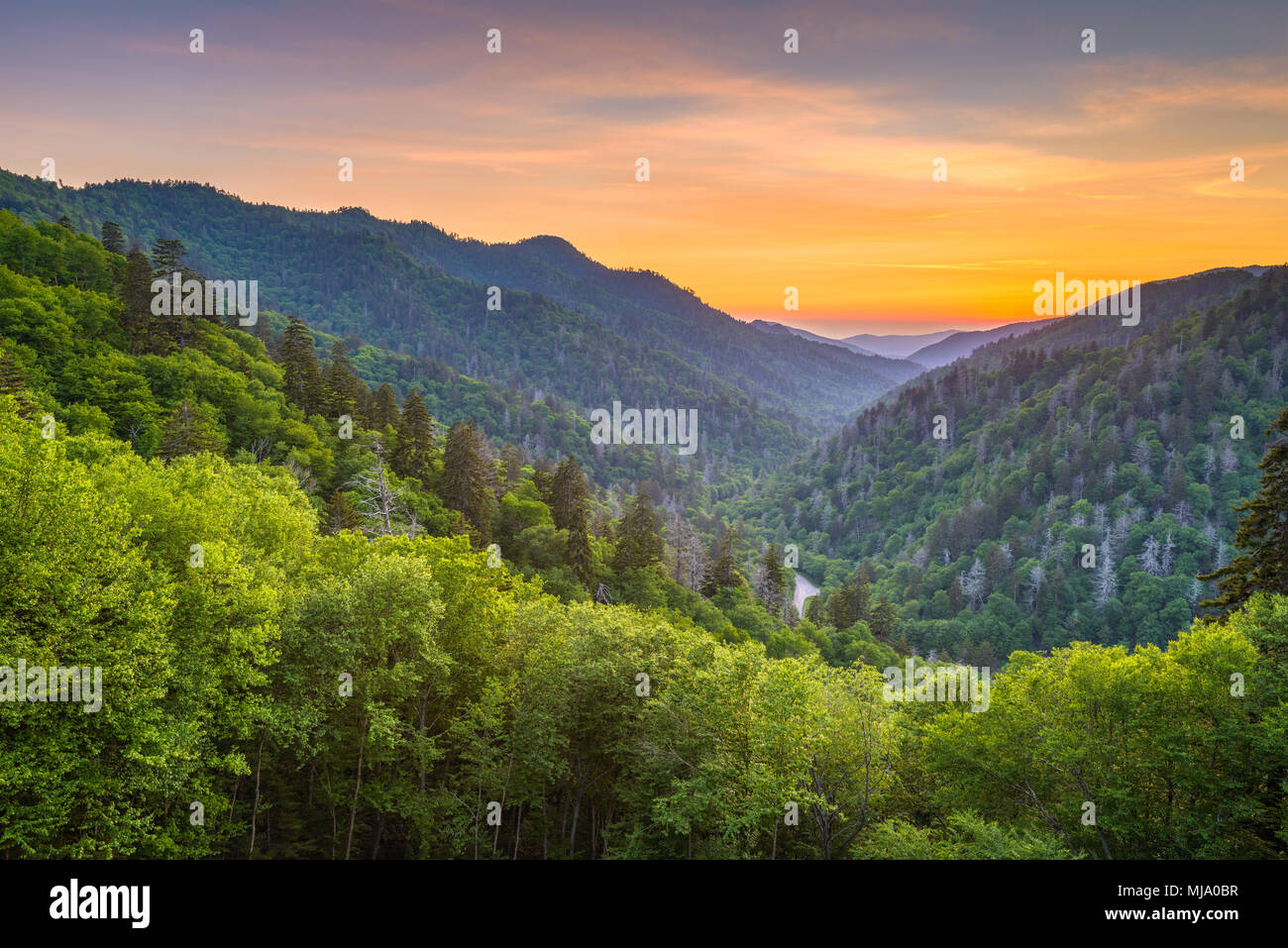 Great Smoky Mountains National Park, Tennessee, USA sunset landscape over Newfound Gap. Stock Photo