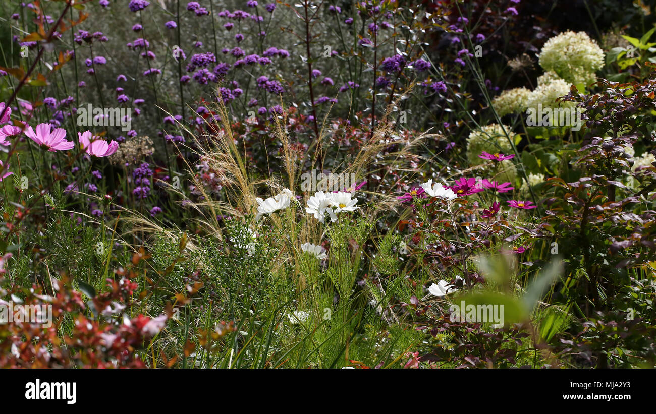 Herbaceous border pastel hi-res stock photography and images - Alamy