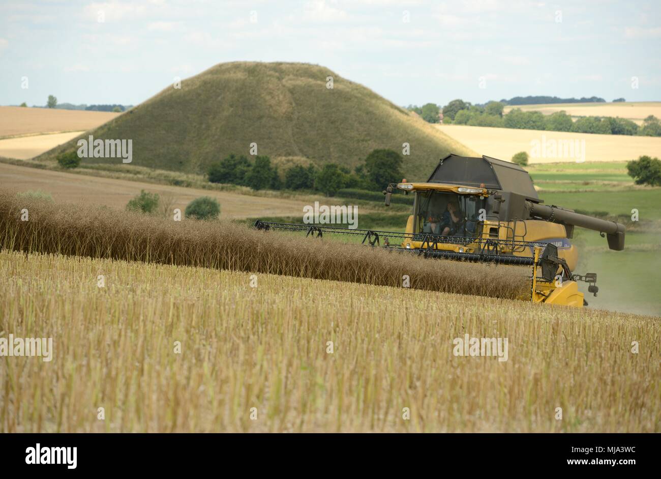 harvesting-takes-place-at-silbury-hill-wiltshire-stock-photo-alamy