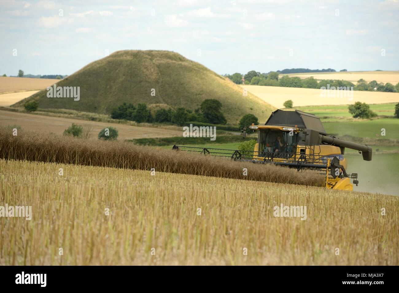 Harvesting takes place at Silbury Hill Wiltshire Stock Photo Alamy