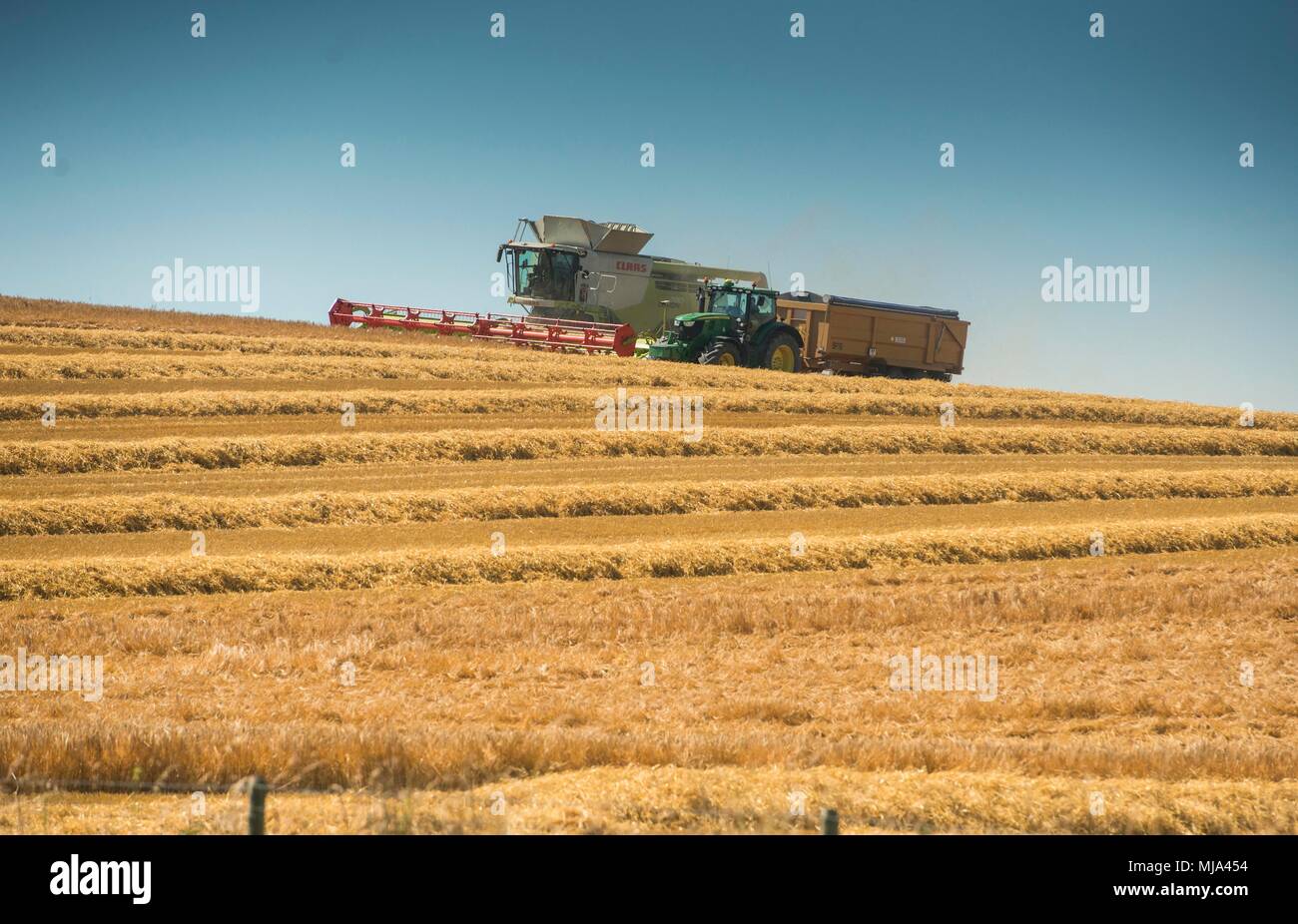 Farmers harvesting at Avebury, Wiltshire Stock Photo Alamy
