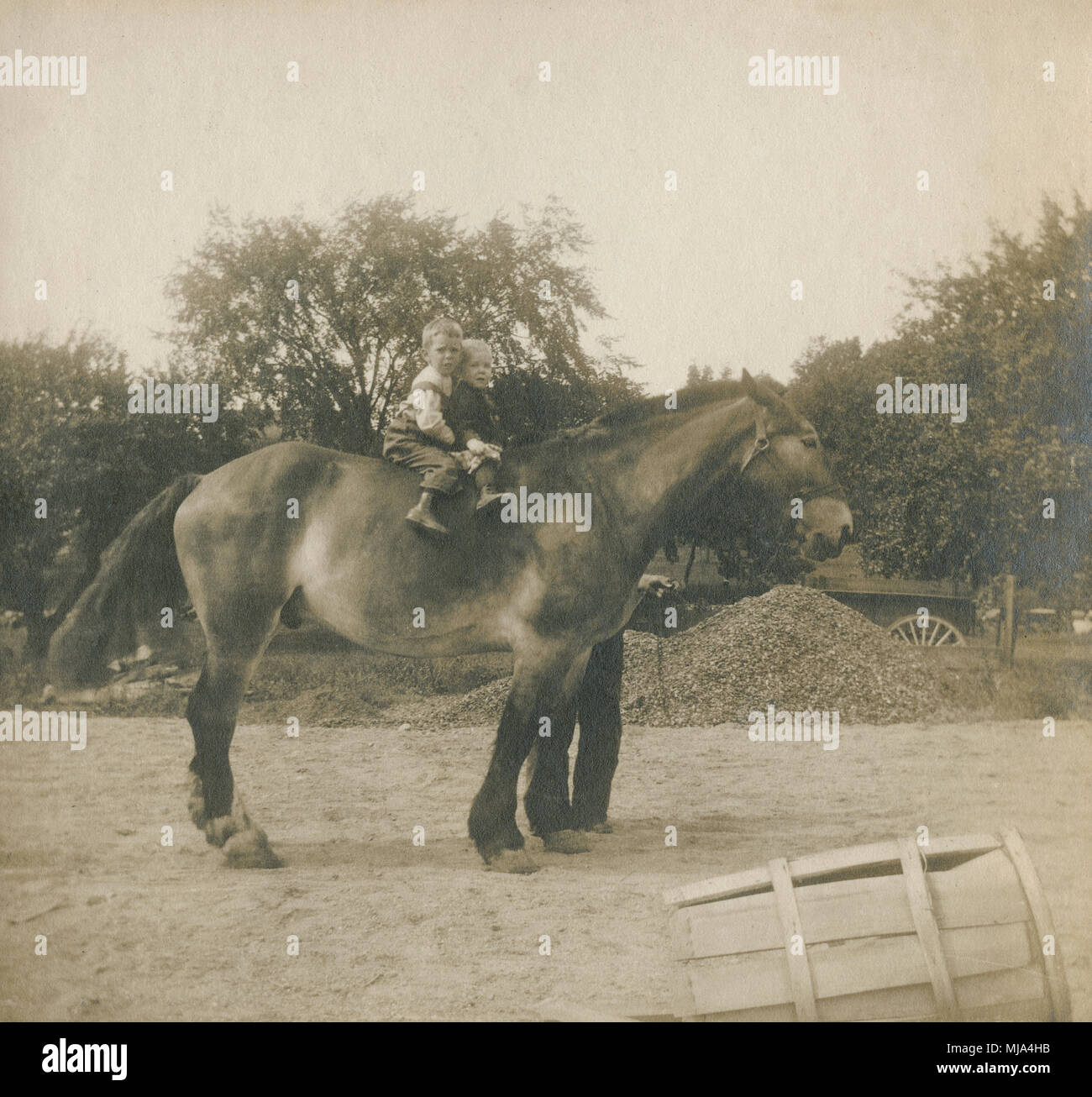 Antique c1905 photograph, two young boys on horseback. Location unknown, probably New England, USA. SOURCE: ORIGINAL PHOTOGRAPHIC PRINT. Stock Photo