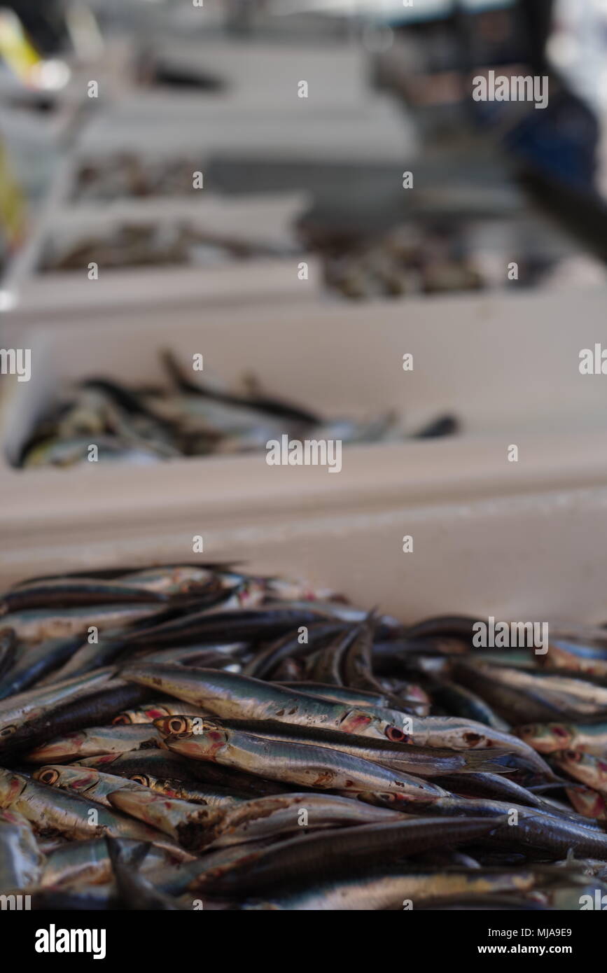 Piraeus Fish Market, Athens, Greece Stock Photo Alamy