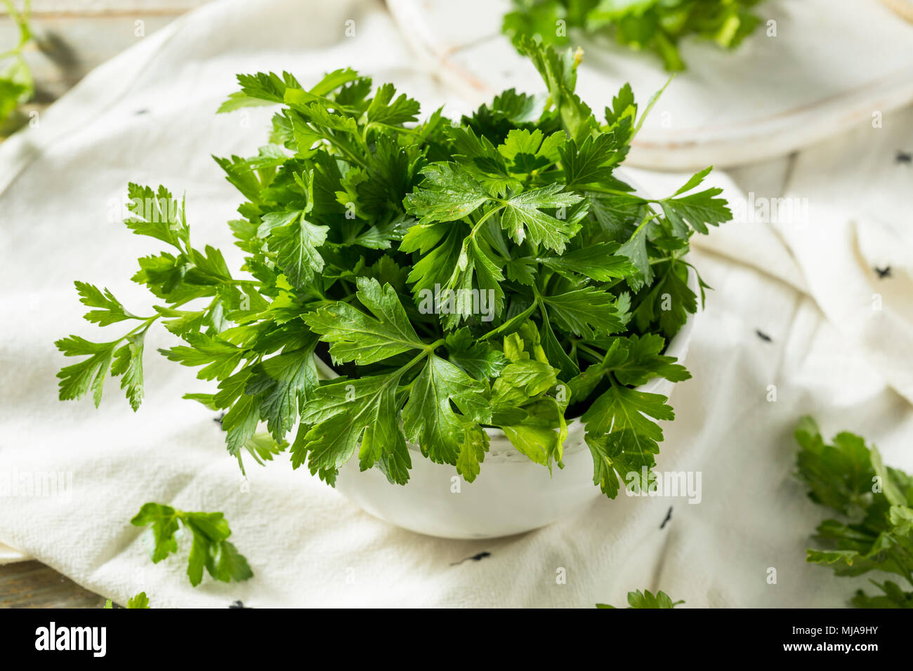 Raw Green Organic Italian Flat Leaf Parsley in a Bowl Stock Photo Alamy