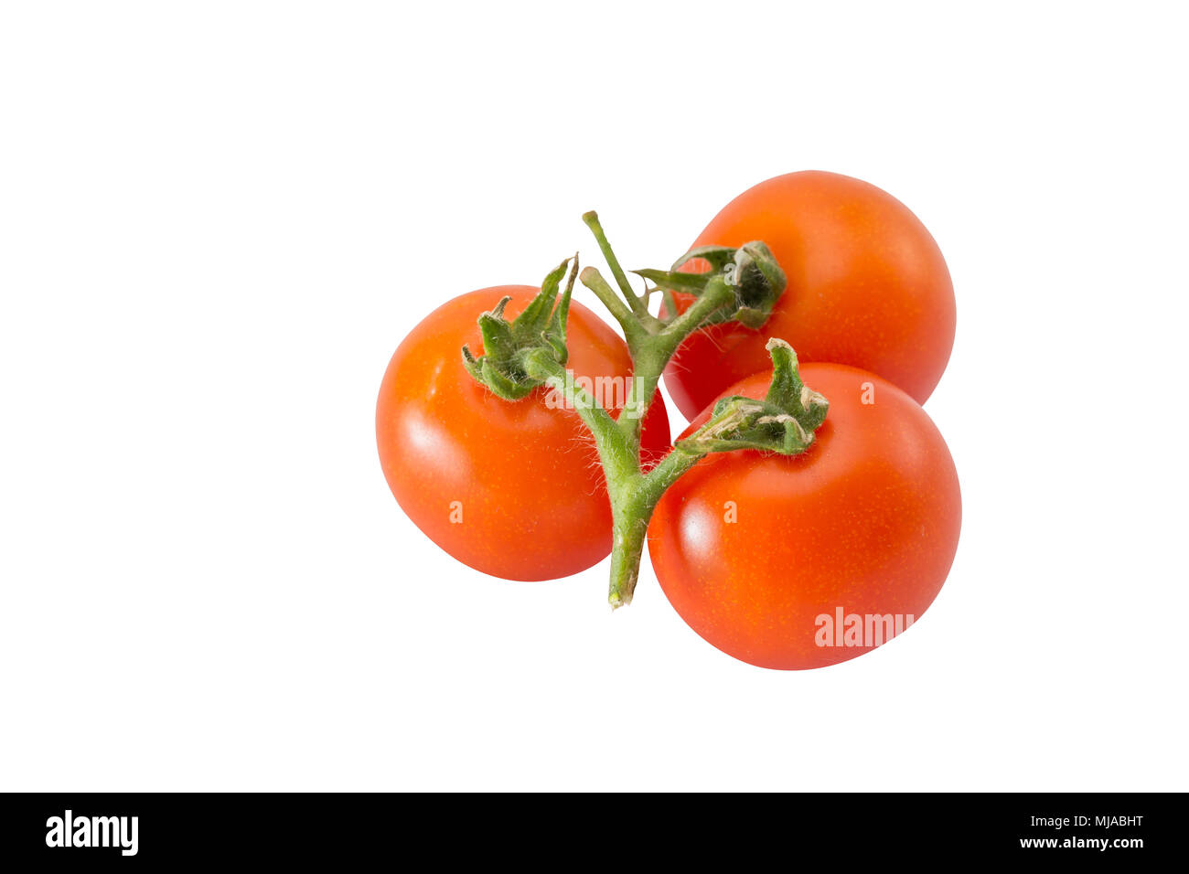 Entire bunch of tomatoes isolated on white background Stock Photo - Alamy