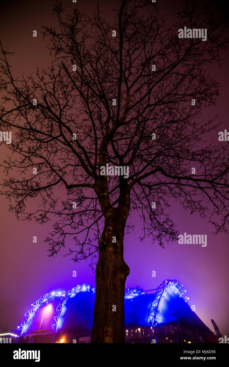 Backlit tree in front of Cologne Musical Dome, Cologne, Germany Stock Photo