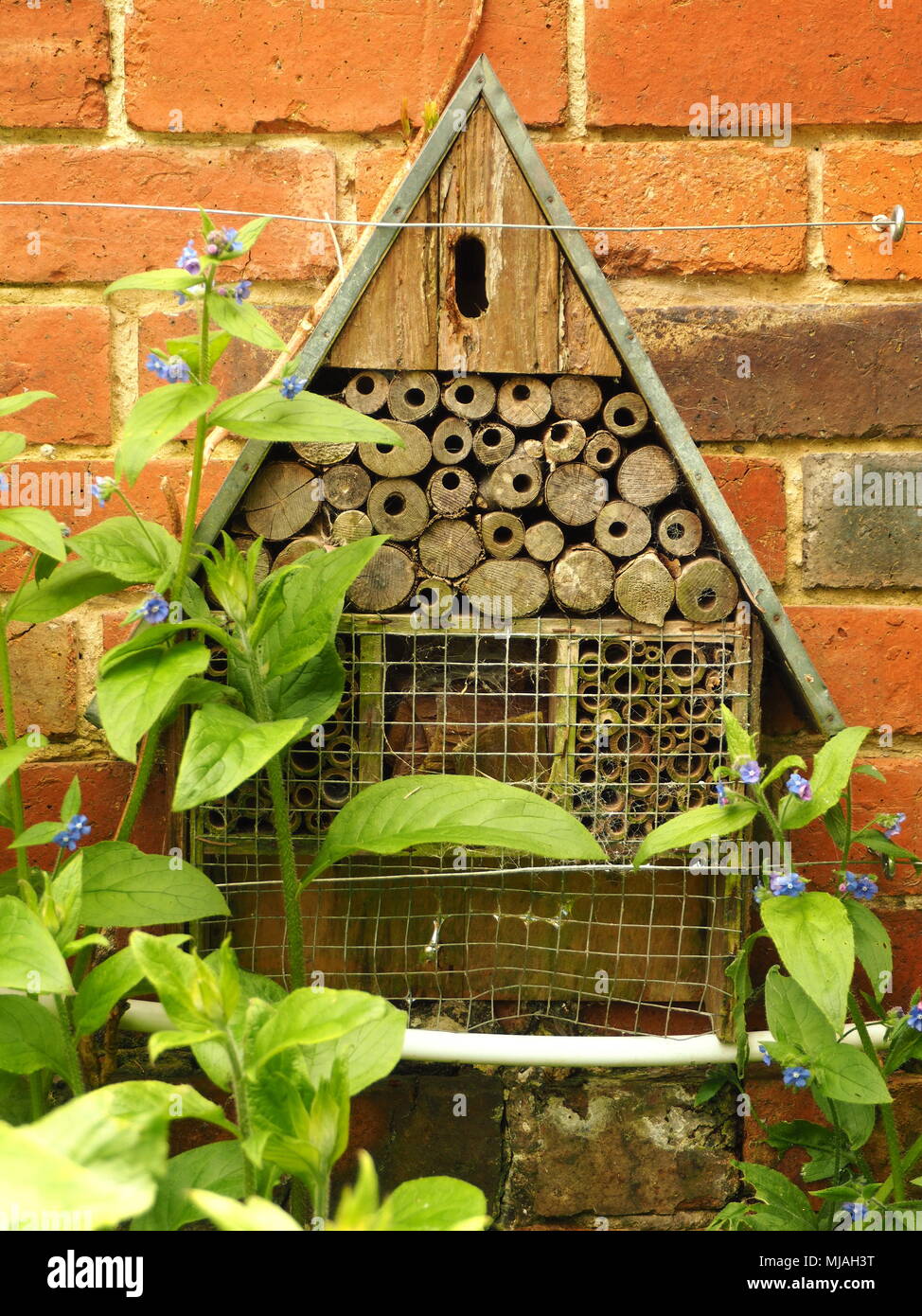 A bug hotel fastened to a red brick garden wall. Stock Photo