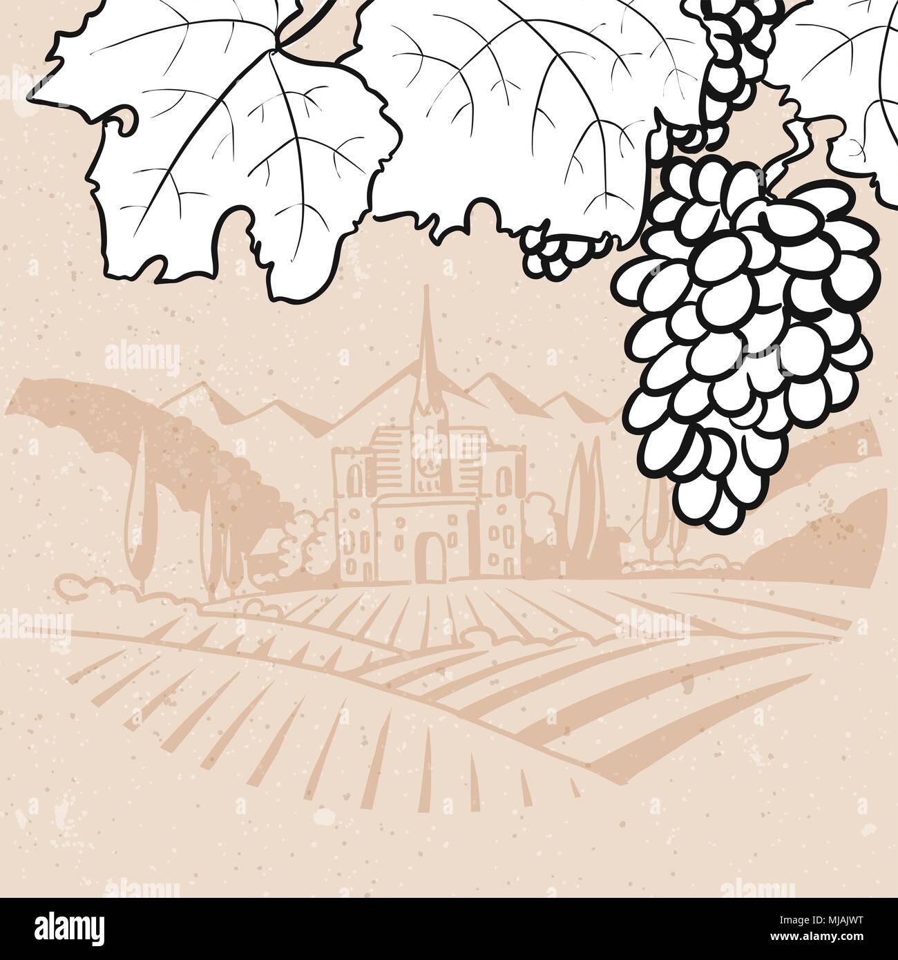 Black and White Grapes in Front of Vintage Vinyard Farm, Hand drawn Vector Artwork Stock Vector