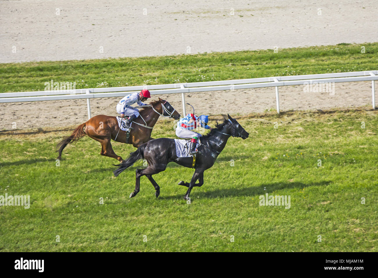 Galloping race horses and jockeys in racing competition Stock Photo