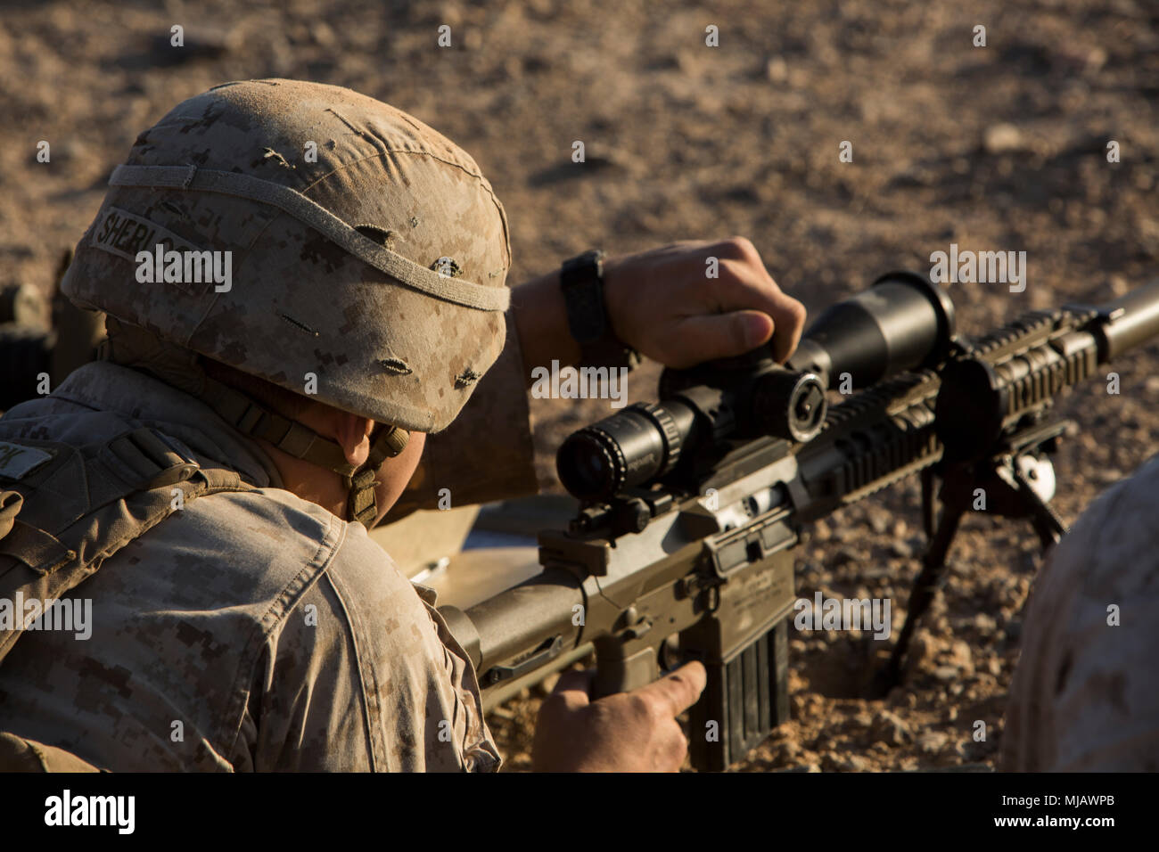 The Marine Corps is getting rid of Scout Snipers - Task & Purpose