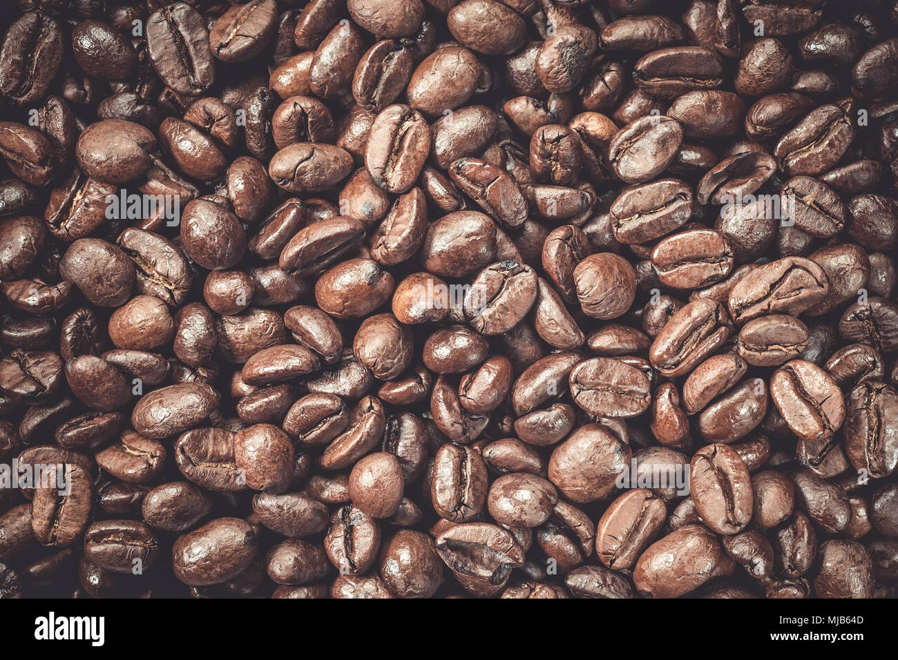 Coffee beans fresh roasted arabica robusta food background Coffea